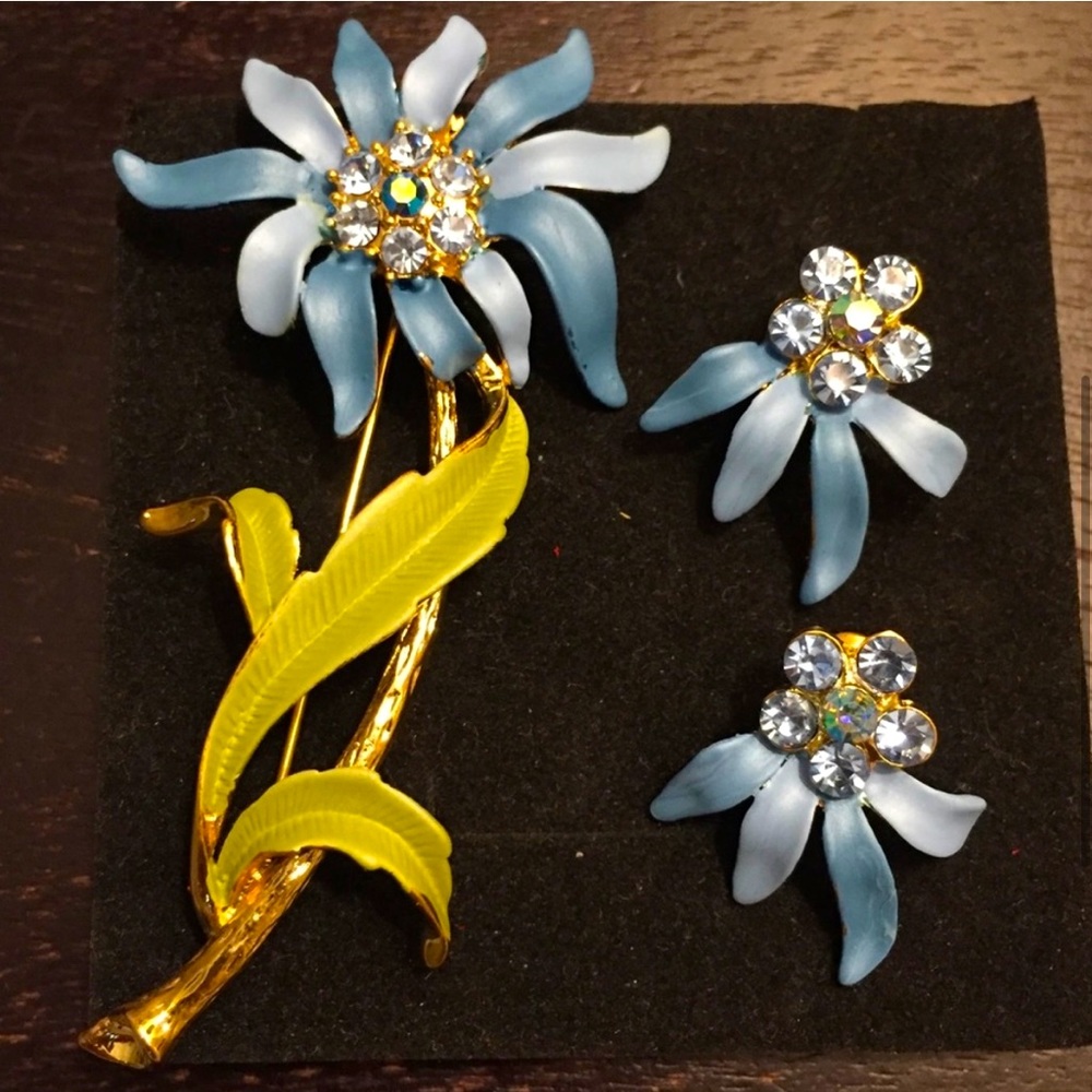 Epoch enamel brooch & earring set